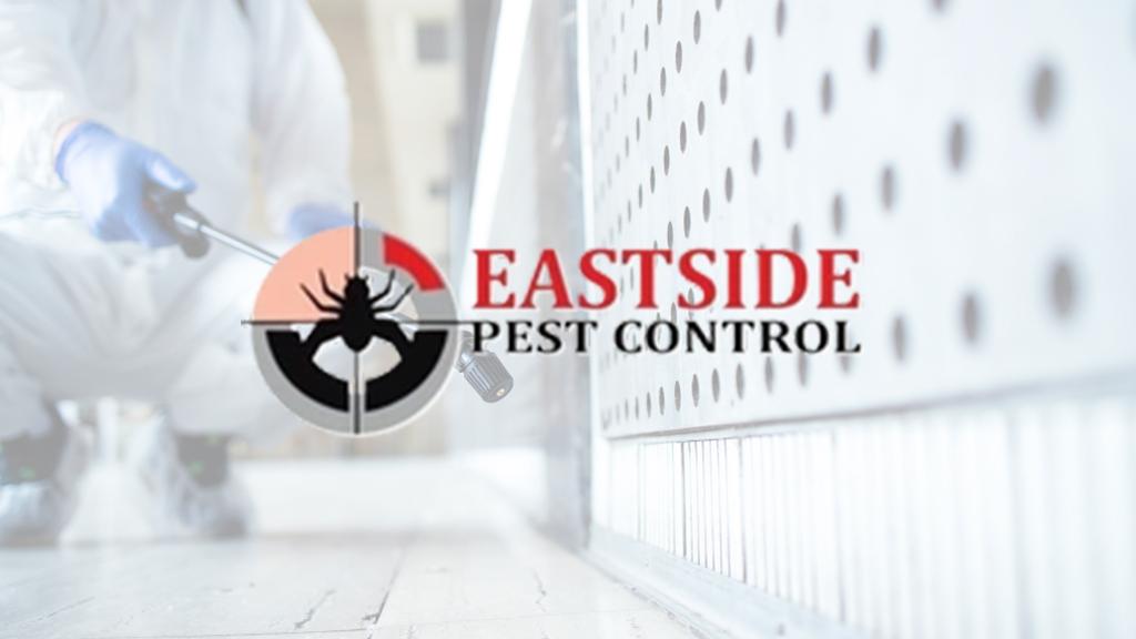 Eastside Pest Control Vancouver