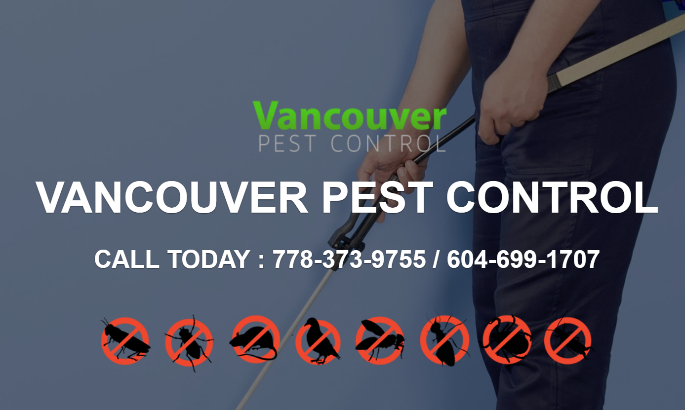 Vancouver Pest Control Ltd