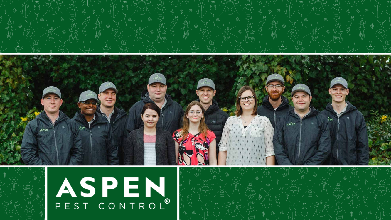 Aspen Pest Control Vancouver