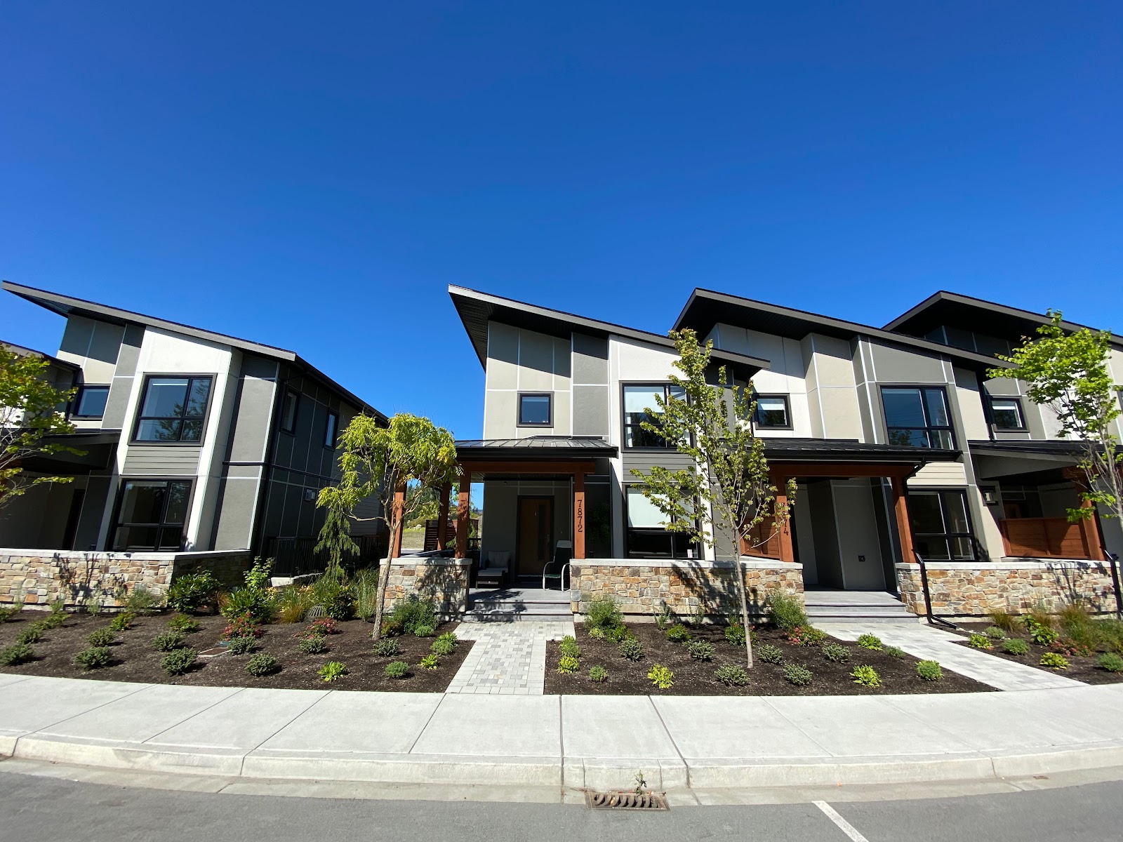 Trusted House Painter