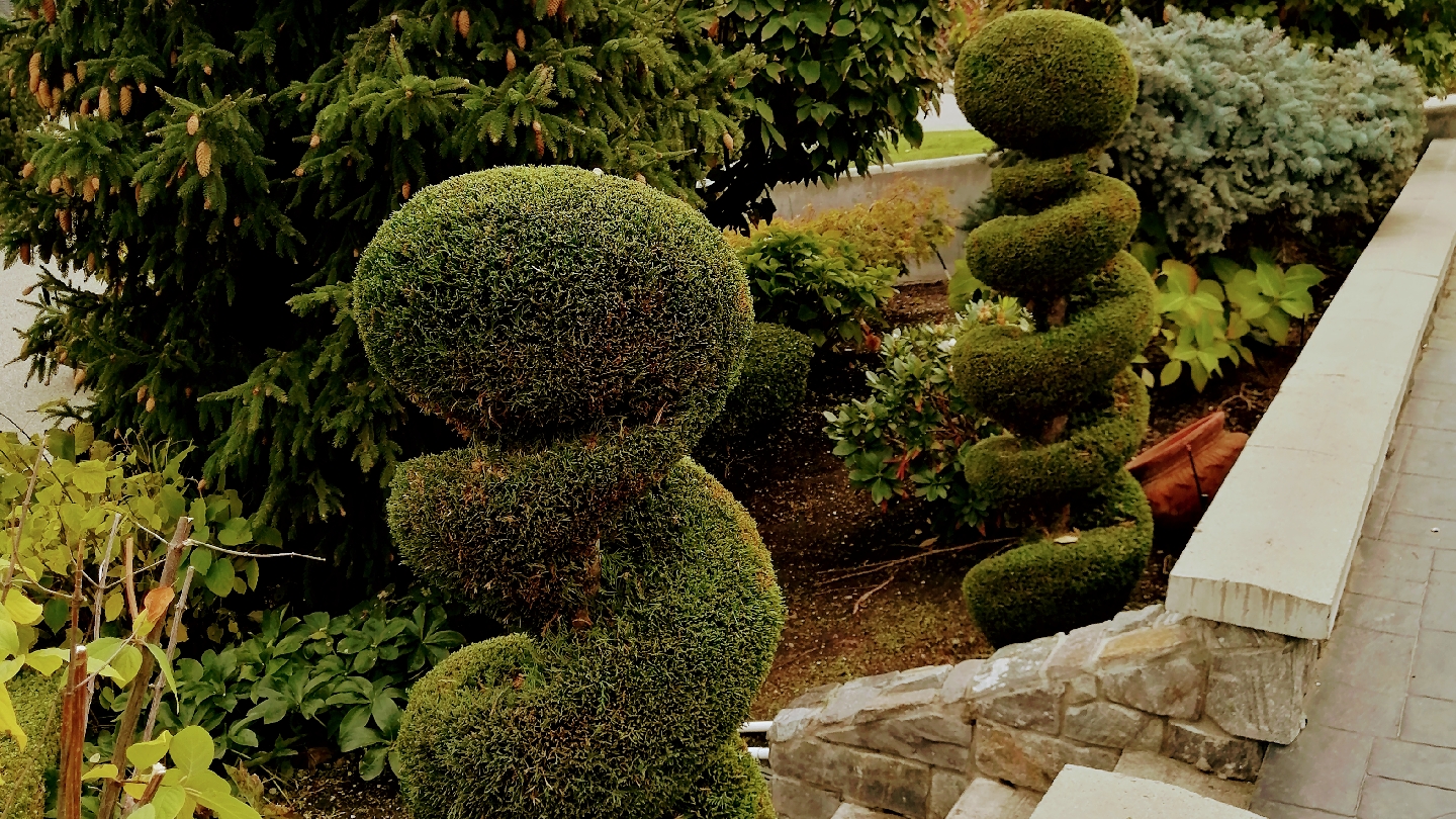 VitaNova Landscape Ltd.