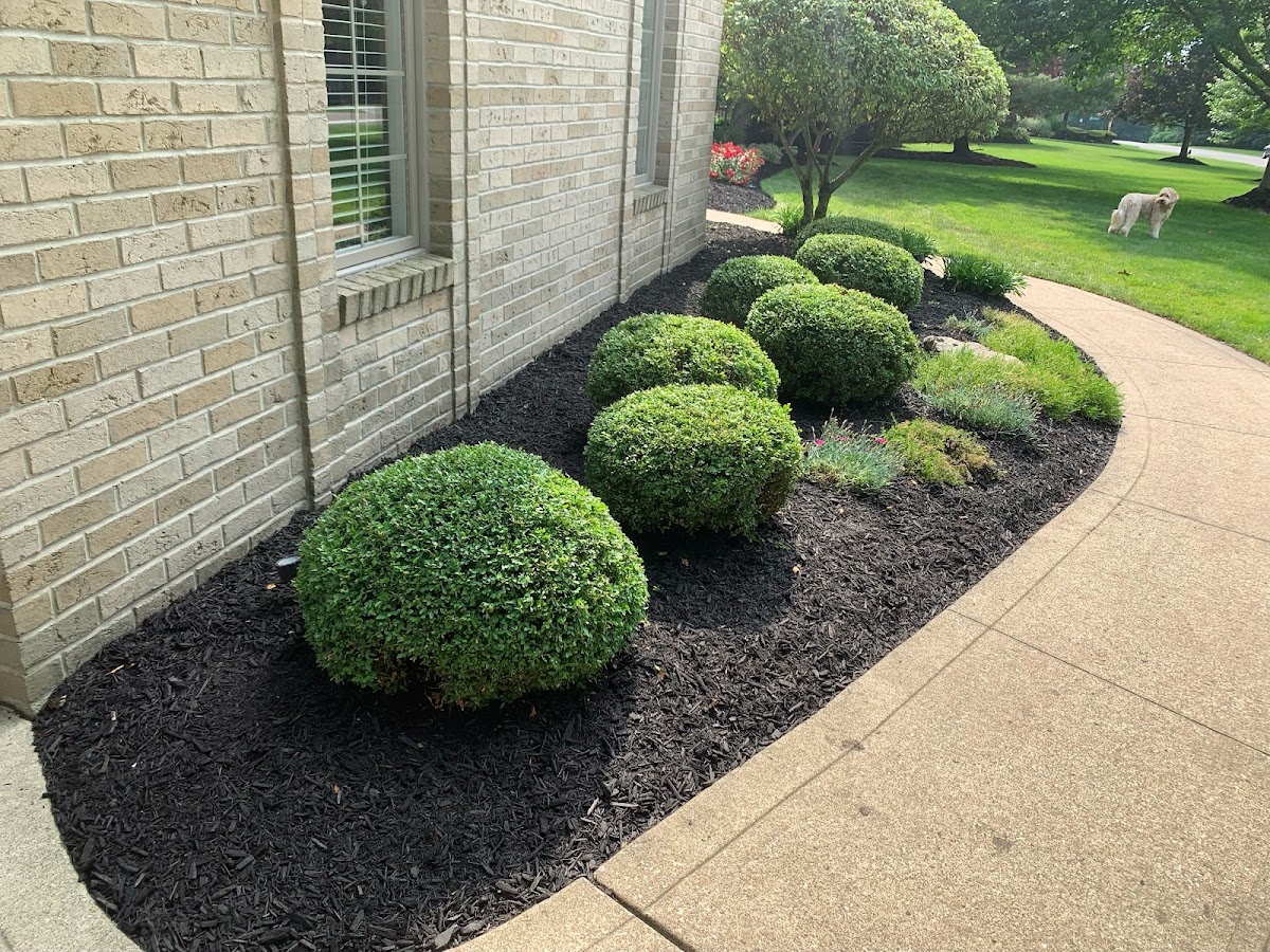 D&D Landscaping Services