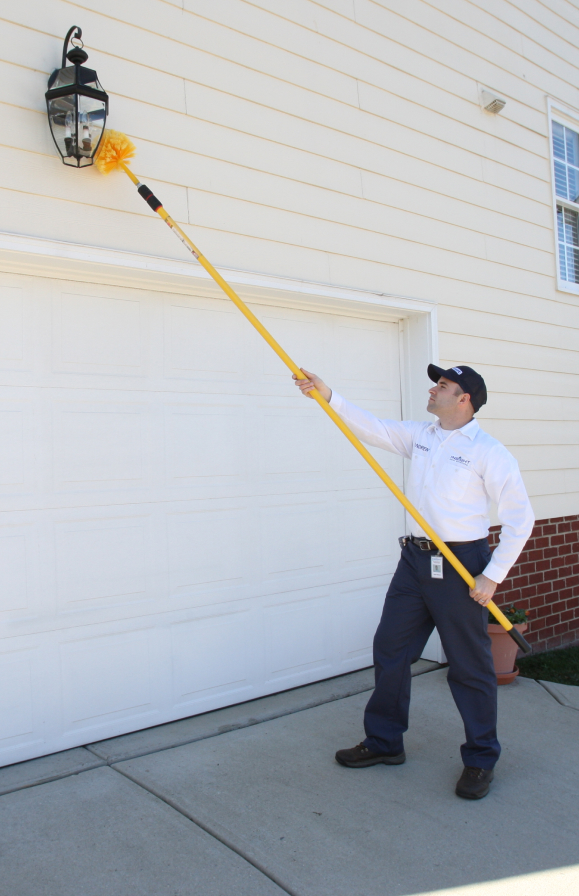 Insight Pest Solutions