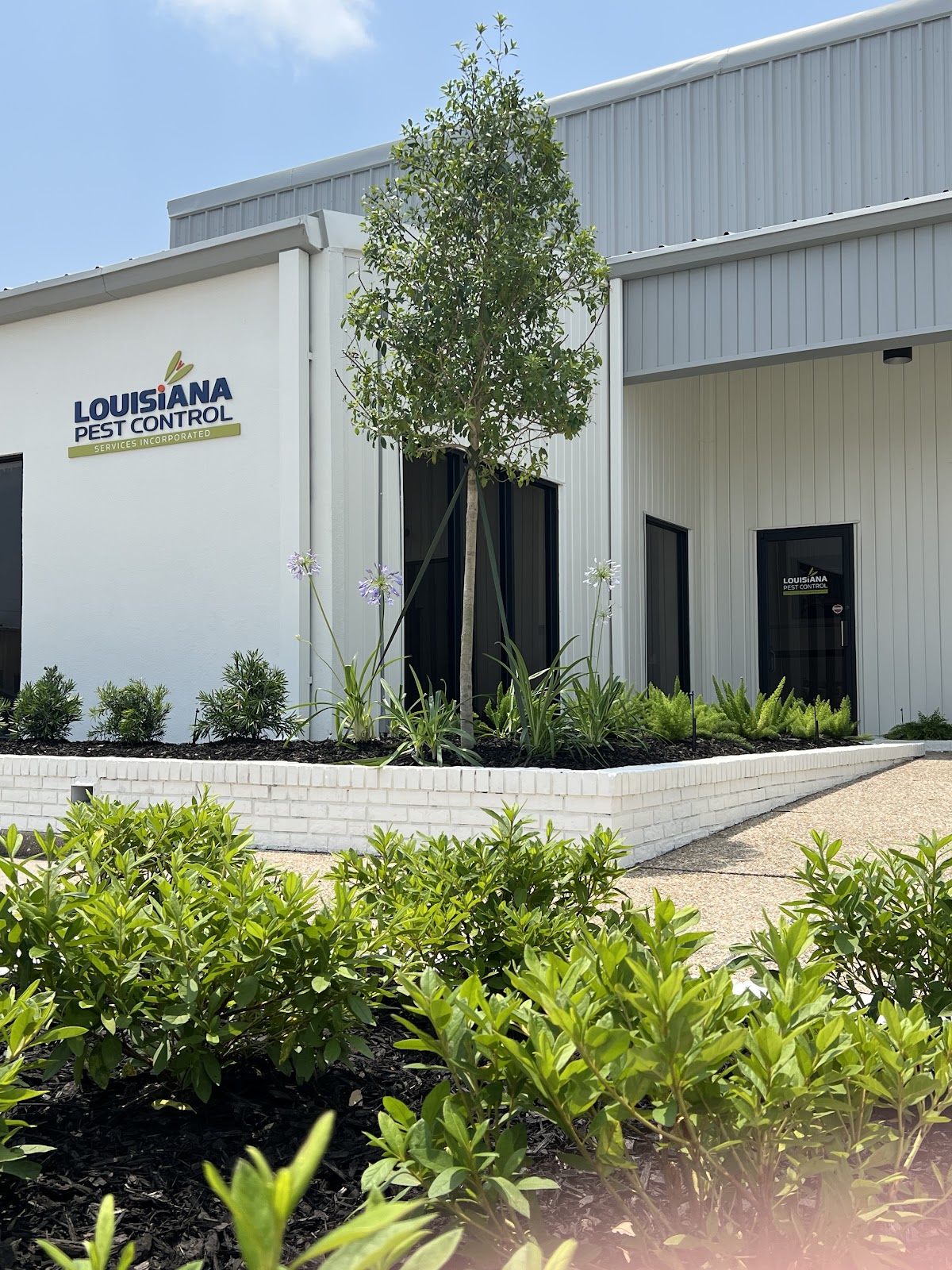 Louisiana Pest Control Services