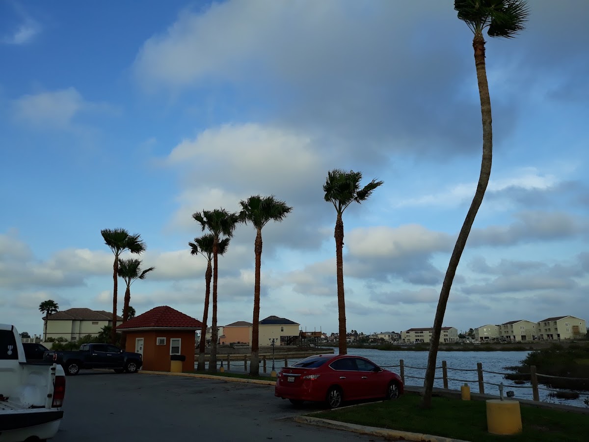 Del Valle Landscaping