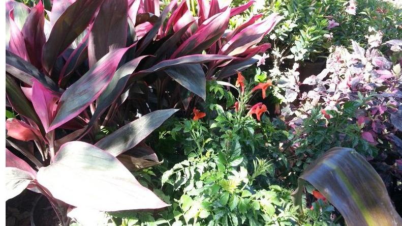 Horseman's Landscape