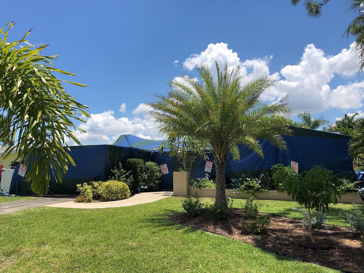 SECURITY TERMITE & PEST CONTROL