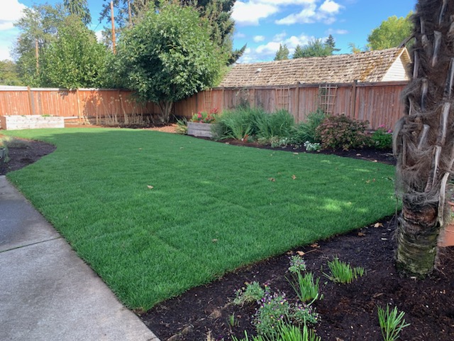 All Seasons Landscape Maintenance