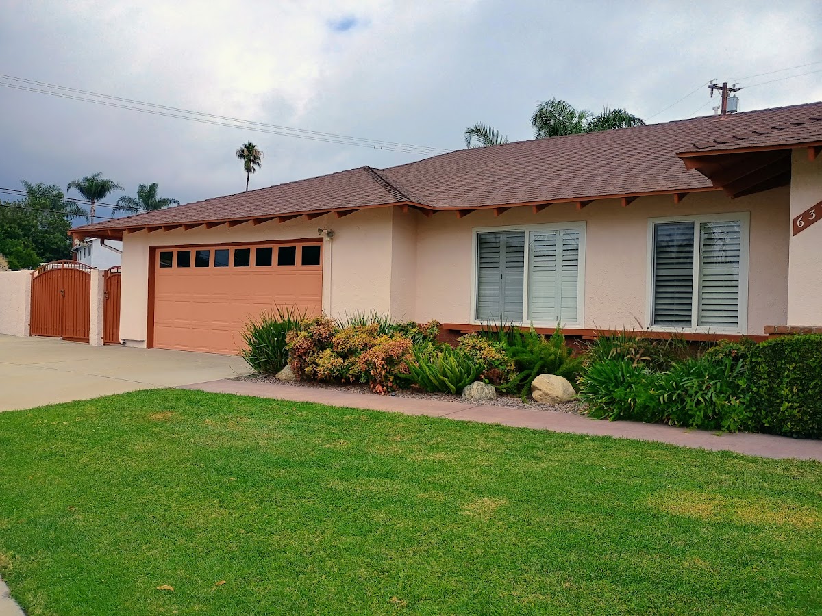 Steve Shook Painting