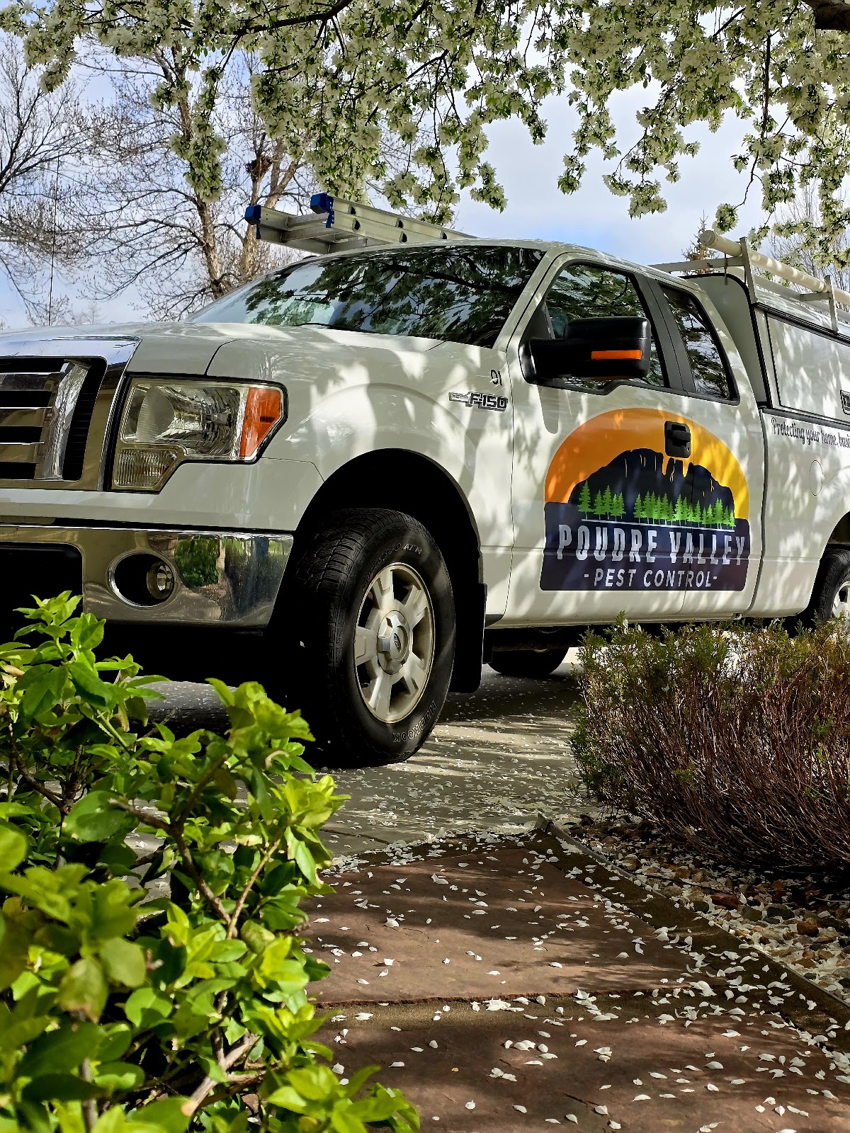 Poudre Valley Pest Control