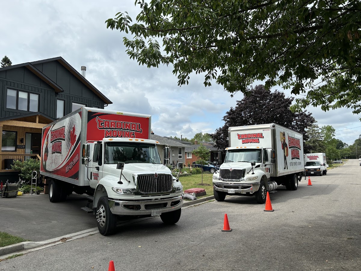 Cardinal Moving