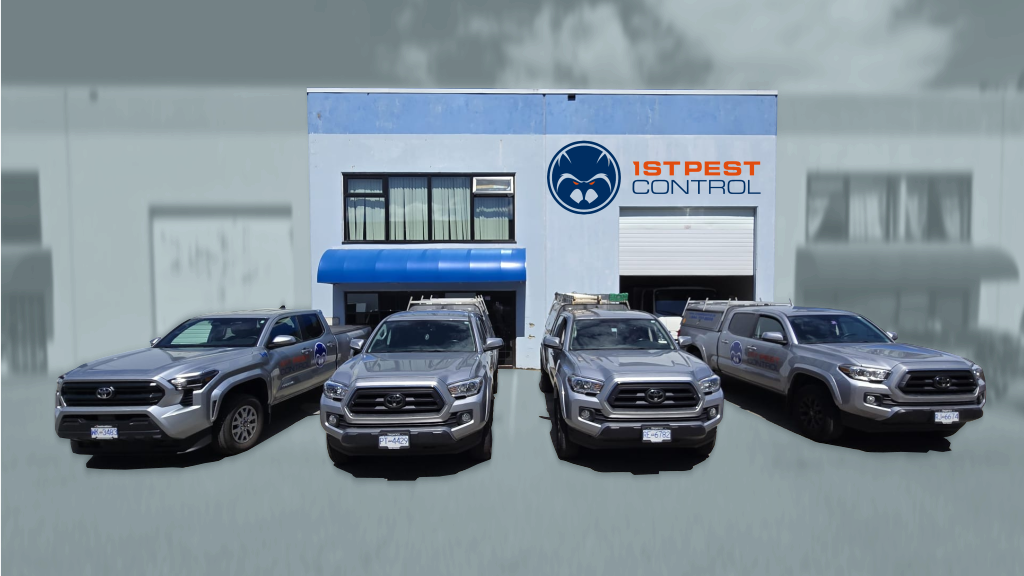 1st Pest Control