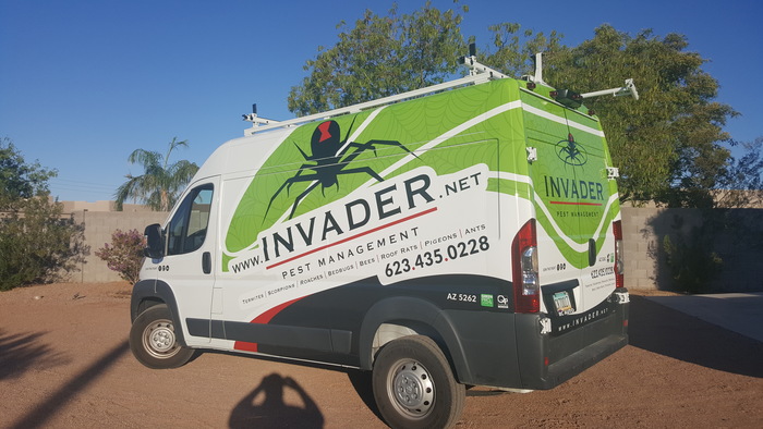 Invader Pest Management