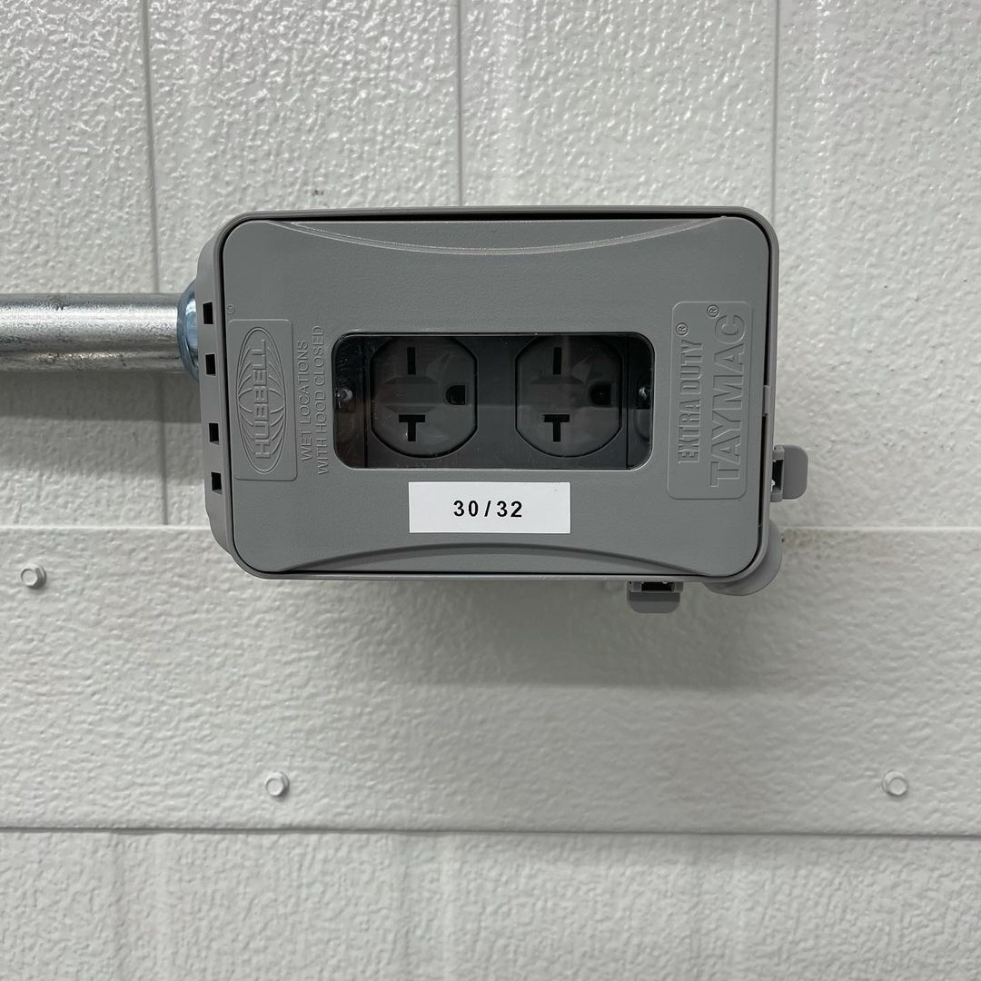 Cherry Blossom Electrician