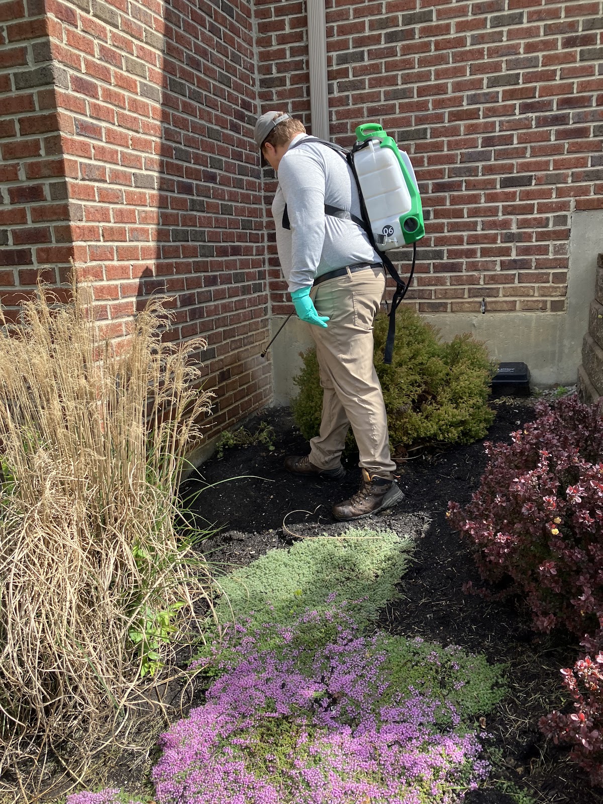 Greenix Pest Control