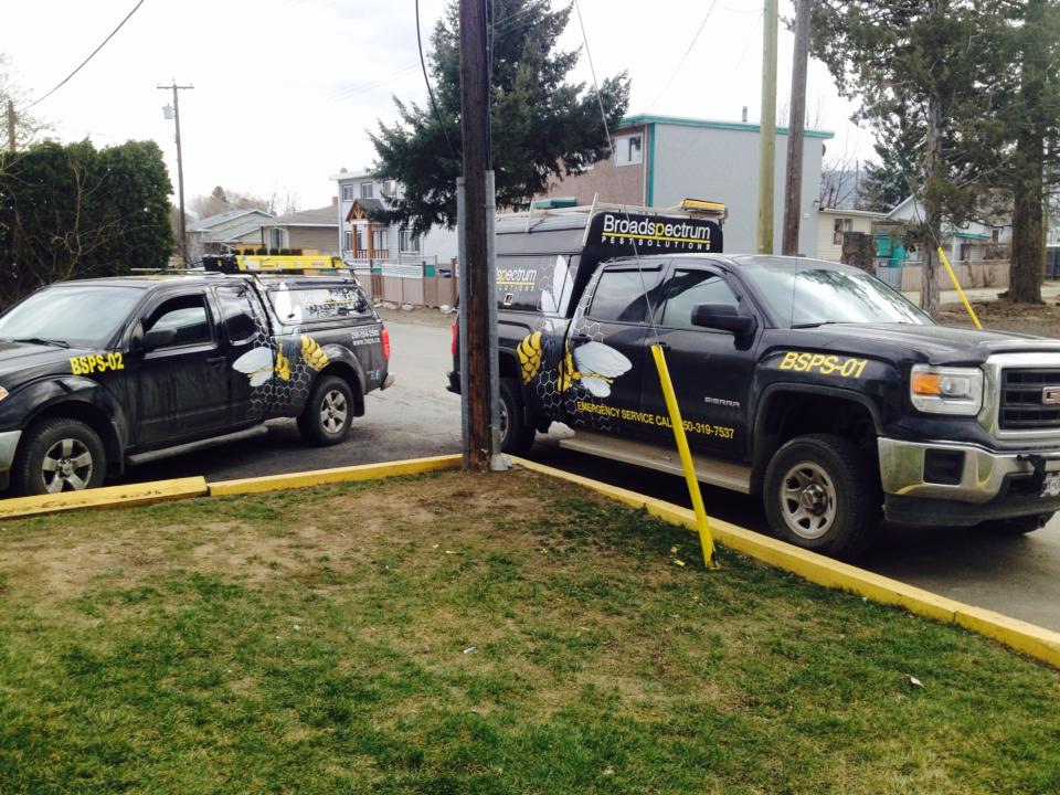 Broad Spectrum Pest Solutions Ltd.