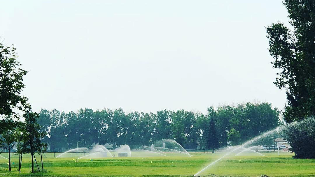 Avara Landscaping & Irrigation