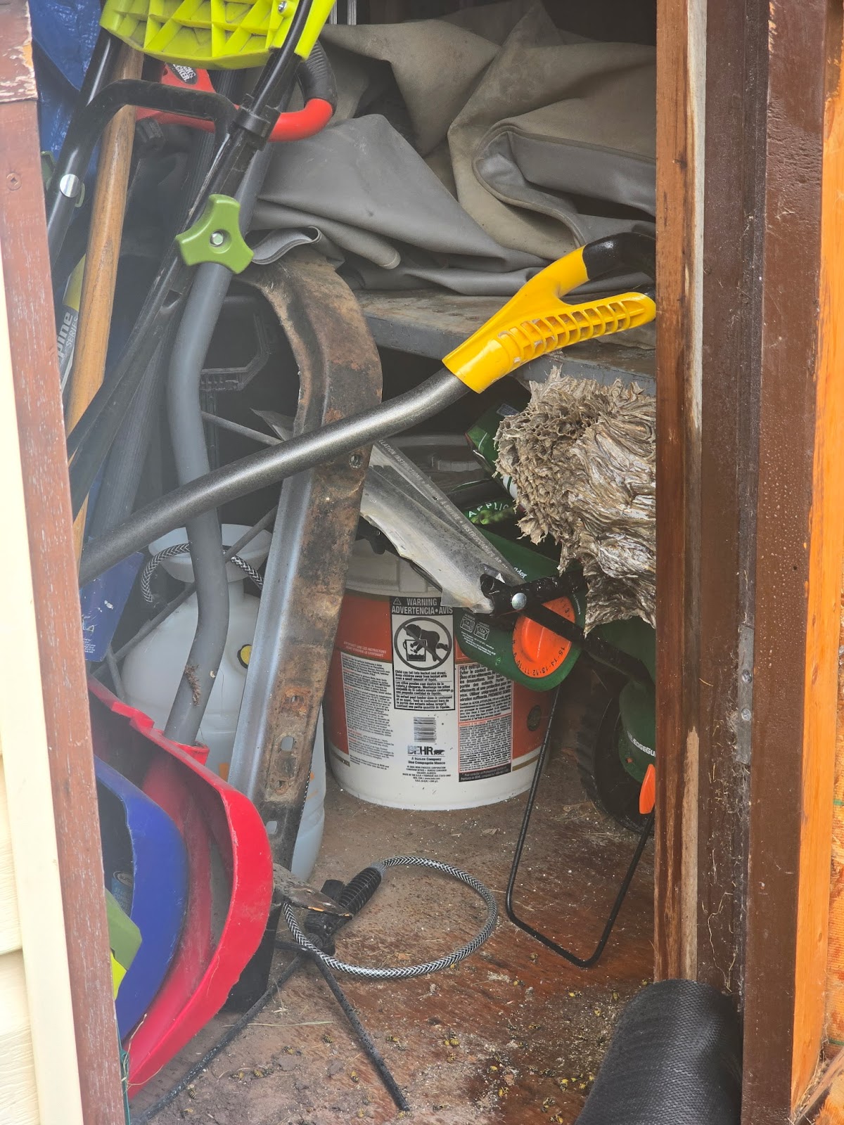Cannon pest control