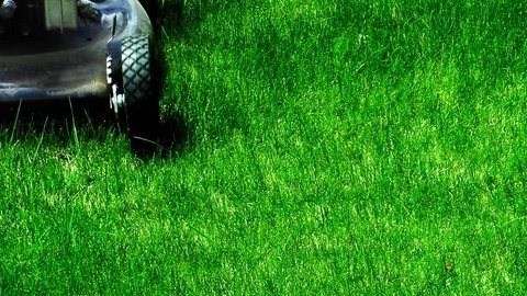 JC's Landscaping LLC