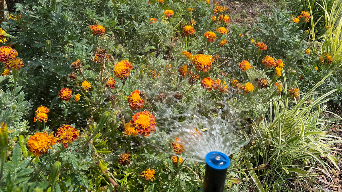 Texas Ranch Landscaping & Irrigation LLC