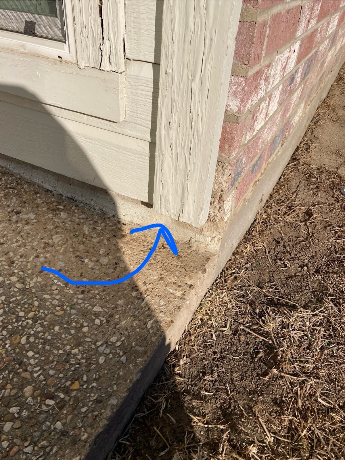 Safe Pro Pest Control