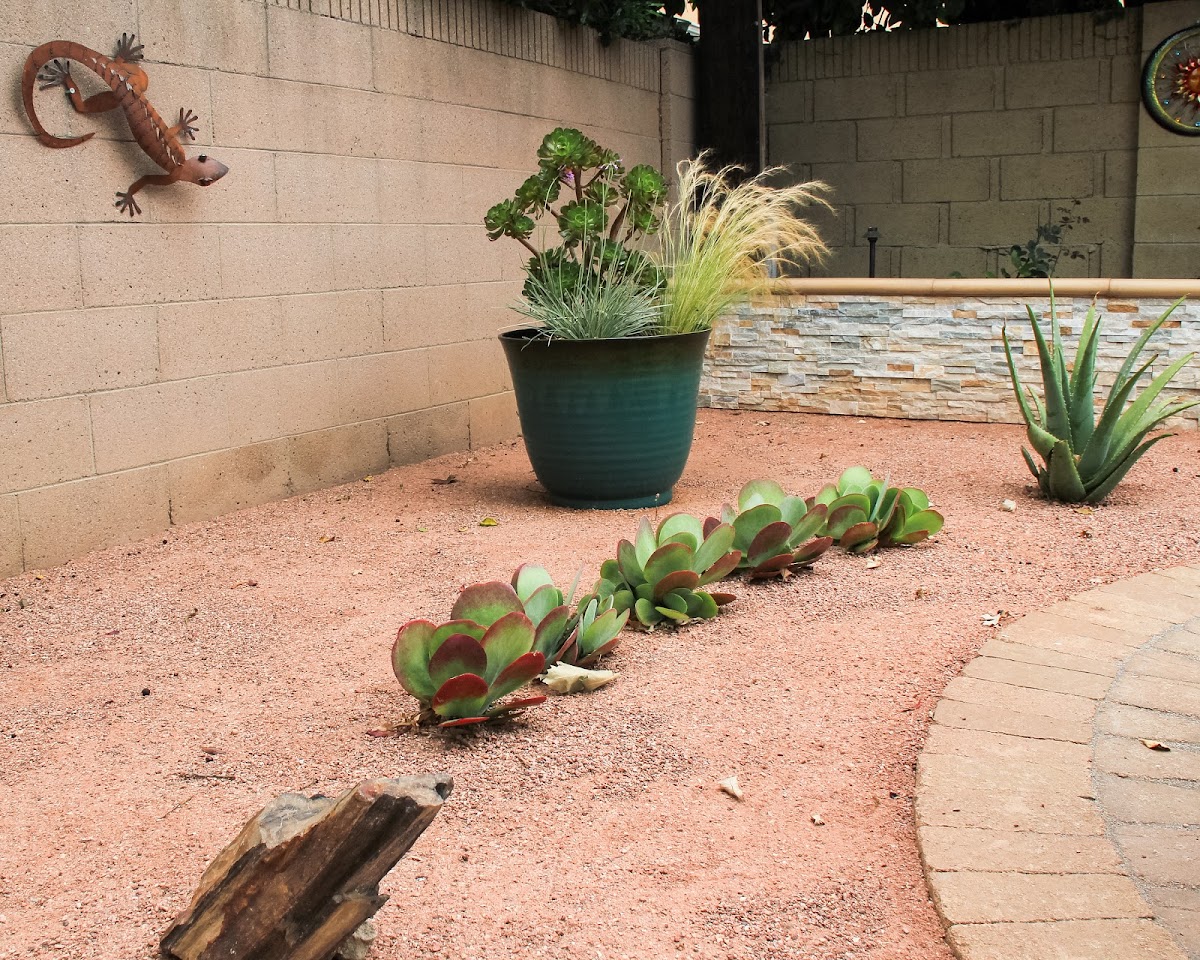 Pacific Breeze Building Solutions