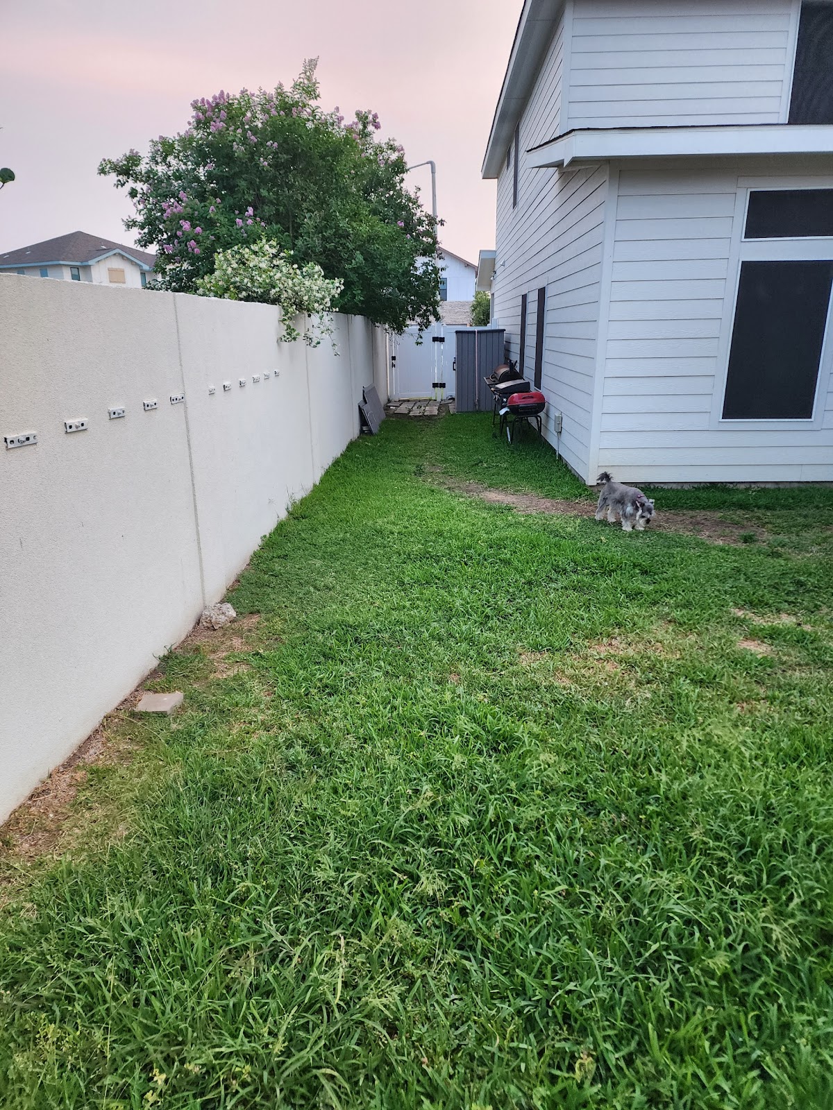 Laredo's Best Landscapers