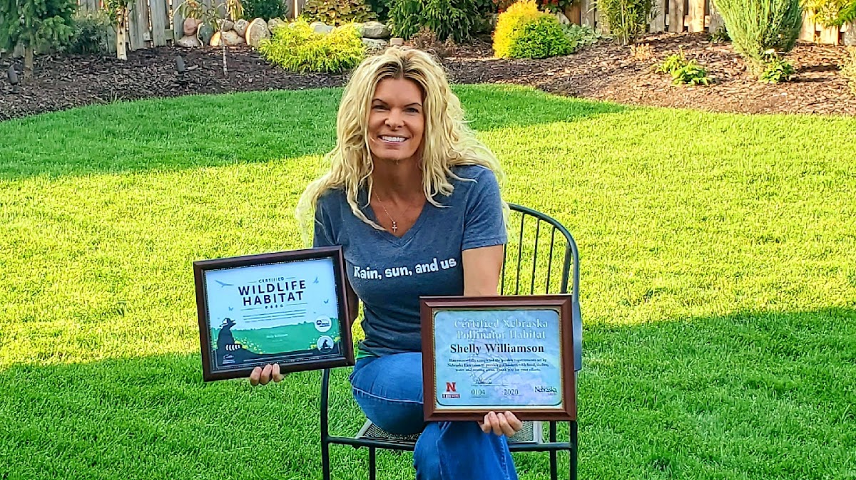 Rain, Sun and Us Landscaping