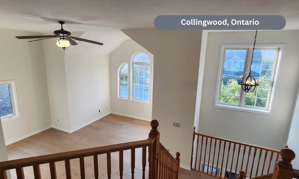 Painting Without Limits