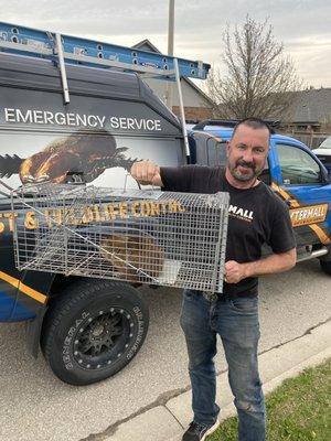 Xtermall Pest & Wildlife Control