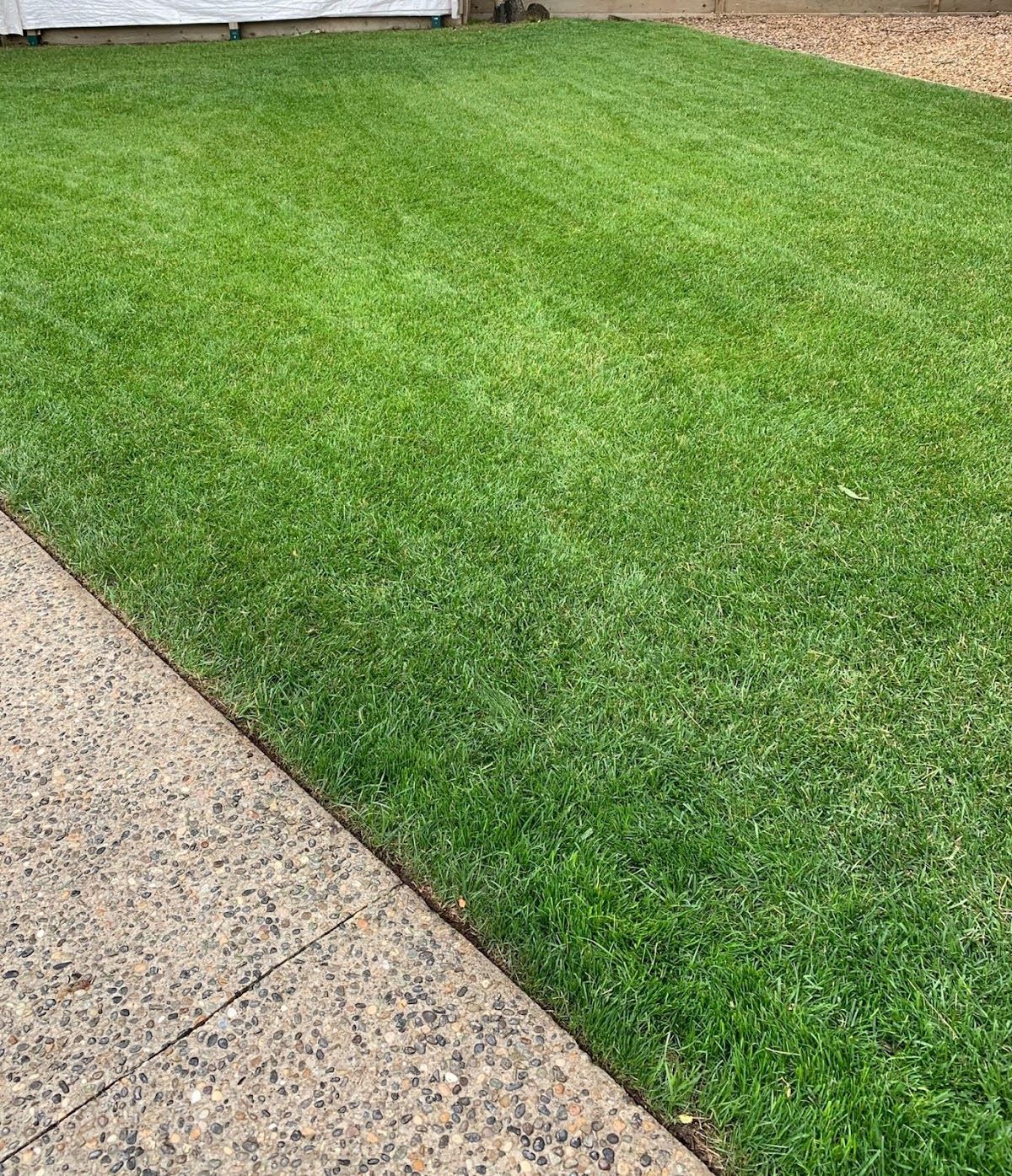 Green thumbs landscaping and lawn services inc