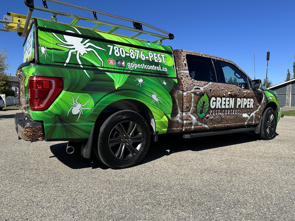 Green Piper Pest Control