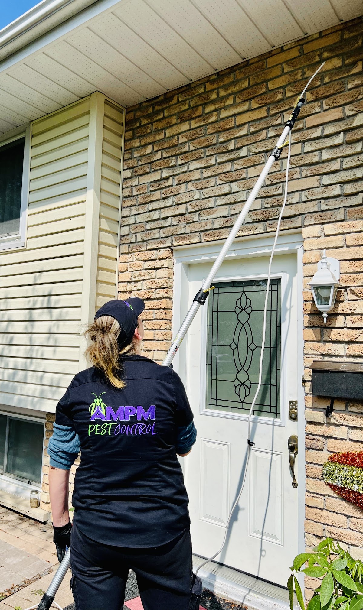 AMPM Pest Control