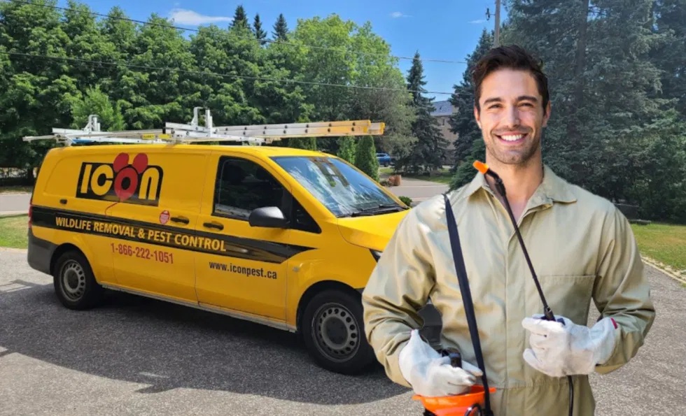 Icon pest control & wildlife removal in Richmond Hill