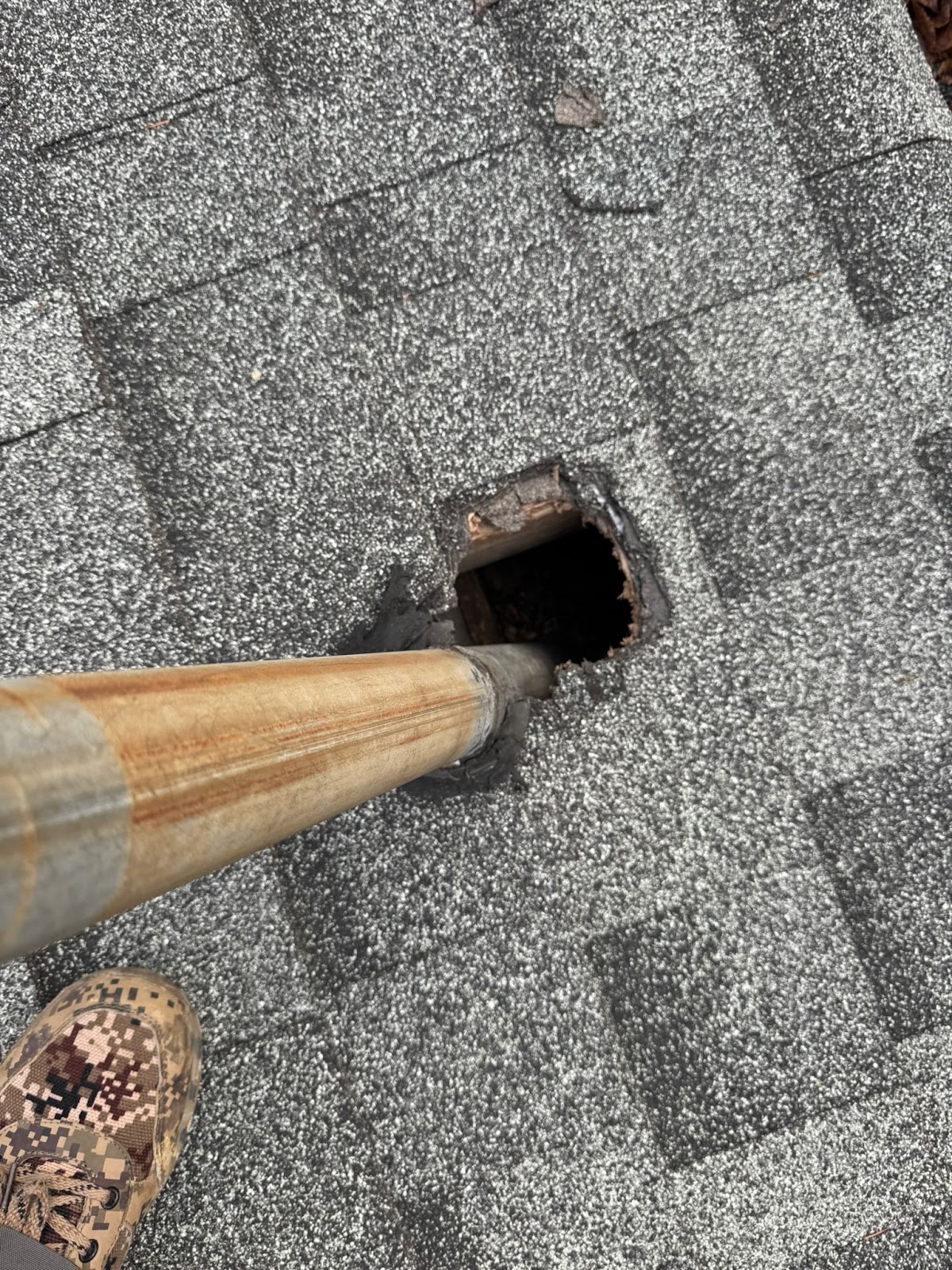 Quality pest control gta Richmond hill