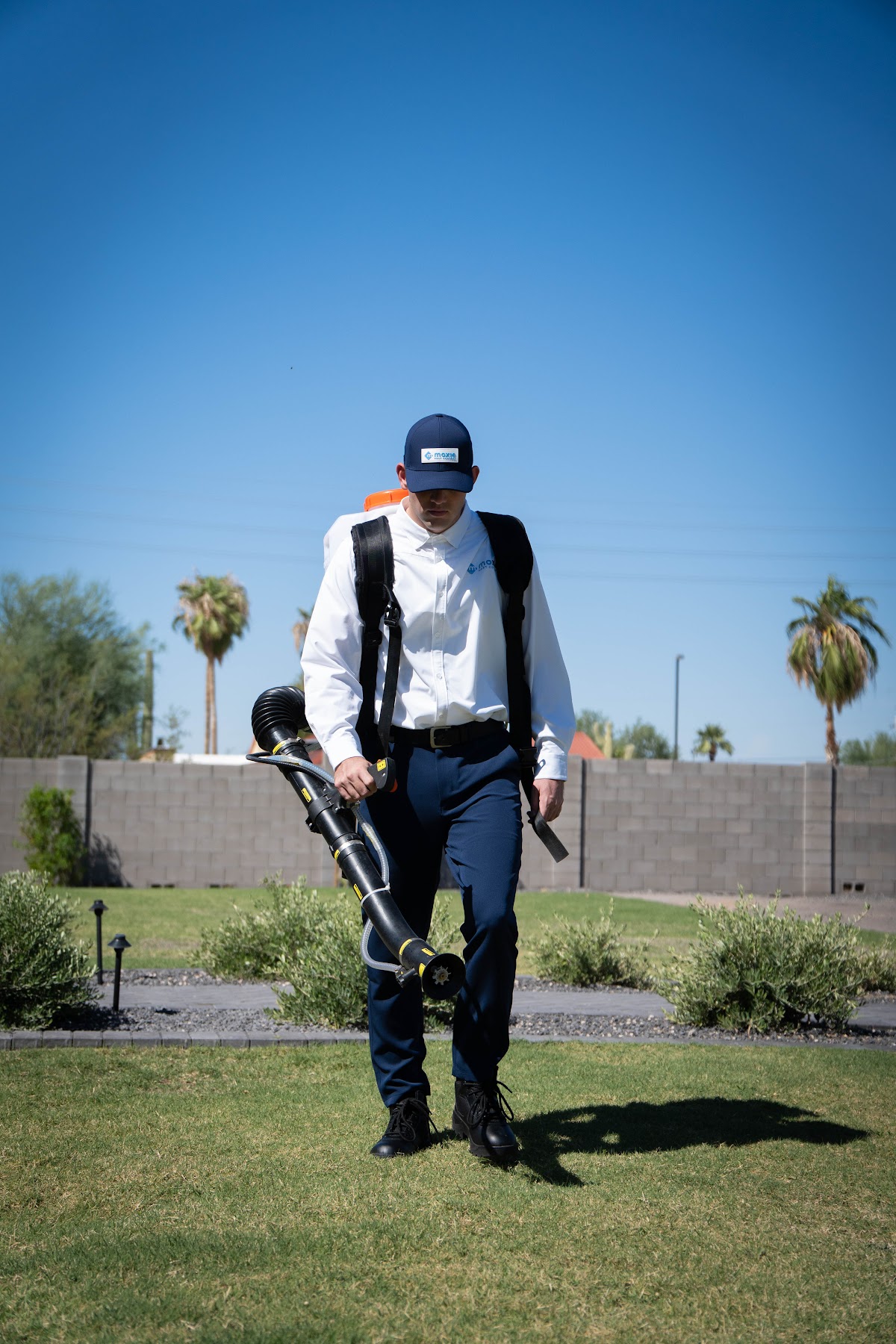 Moxie Pest Control