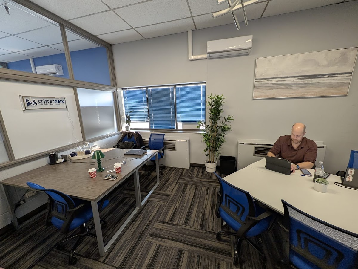 Critter Hero Wildlife Removal Burlington