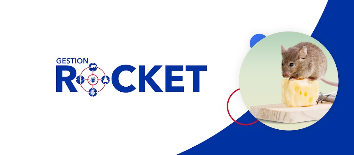 Gestion Rocket