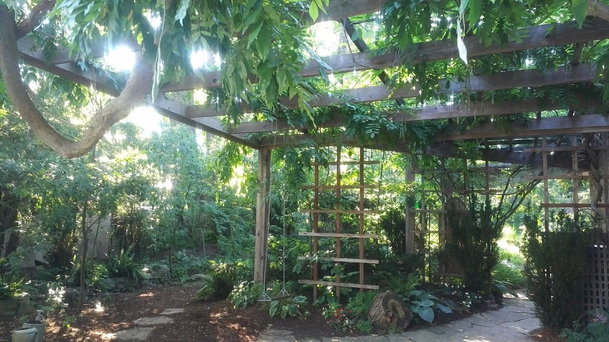 Urban Cottage Landscapes
