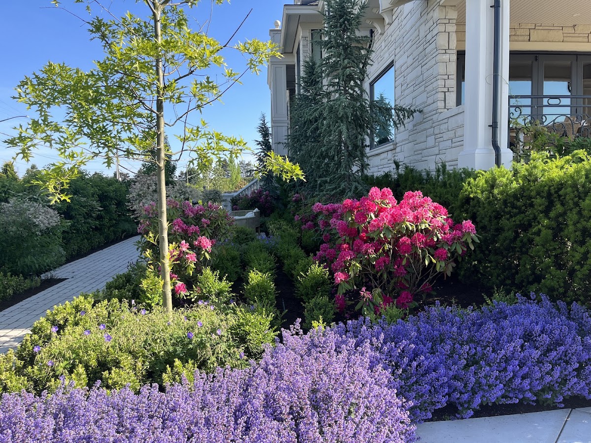 Evergreen Mountain Landscape Ltd