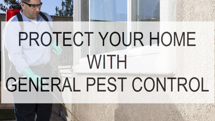 Red Rock Pest AZ