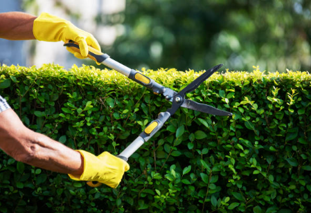 Permascapes Landscaping