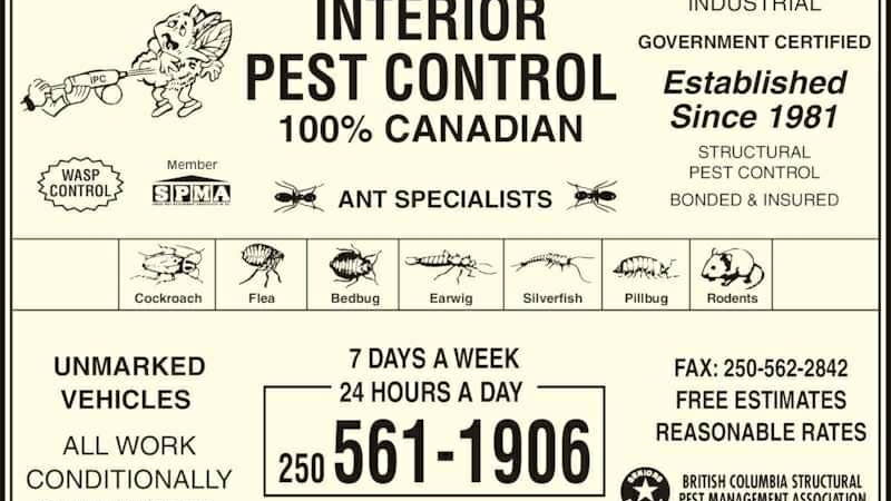 Interior pest control