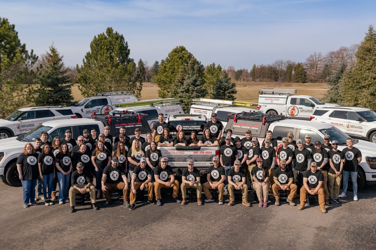 Town & Country Pest Solutions inc
