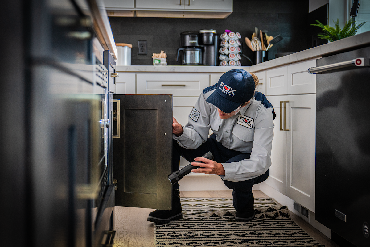 Fox Pest Control Rochester