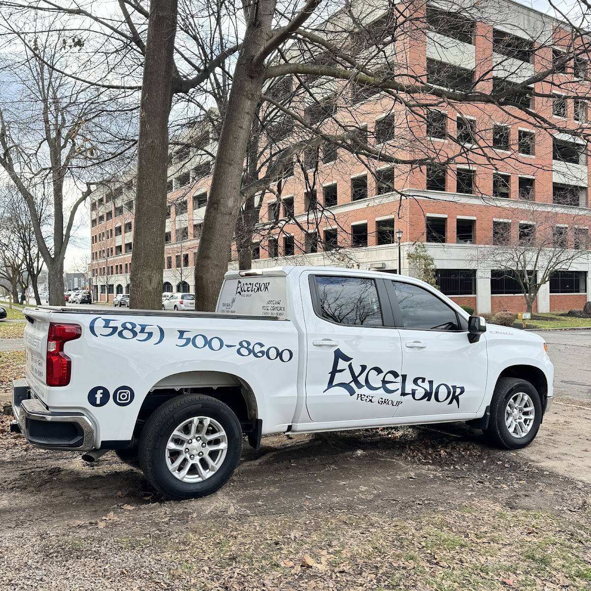 Excelsior Pest Group