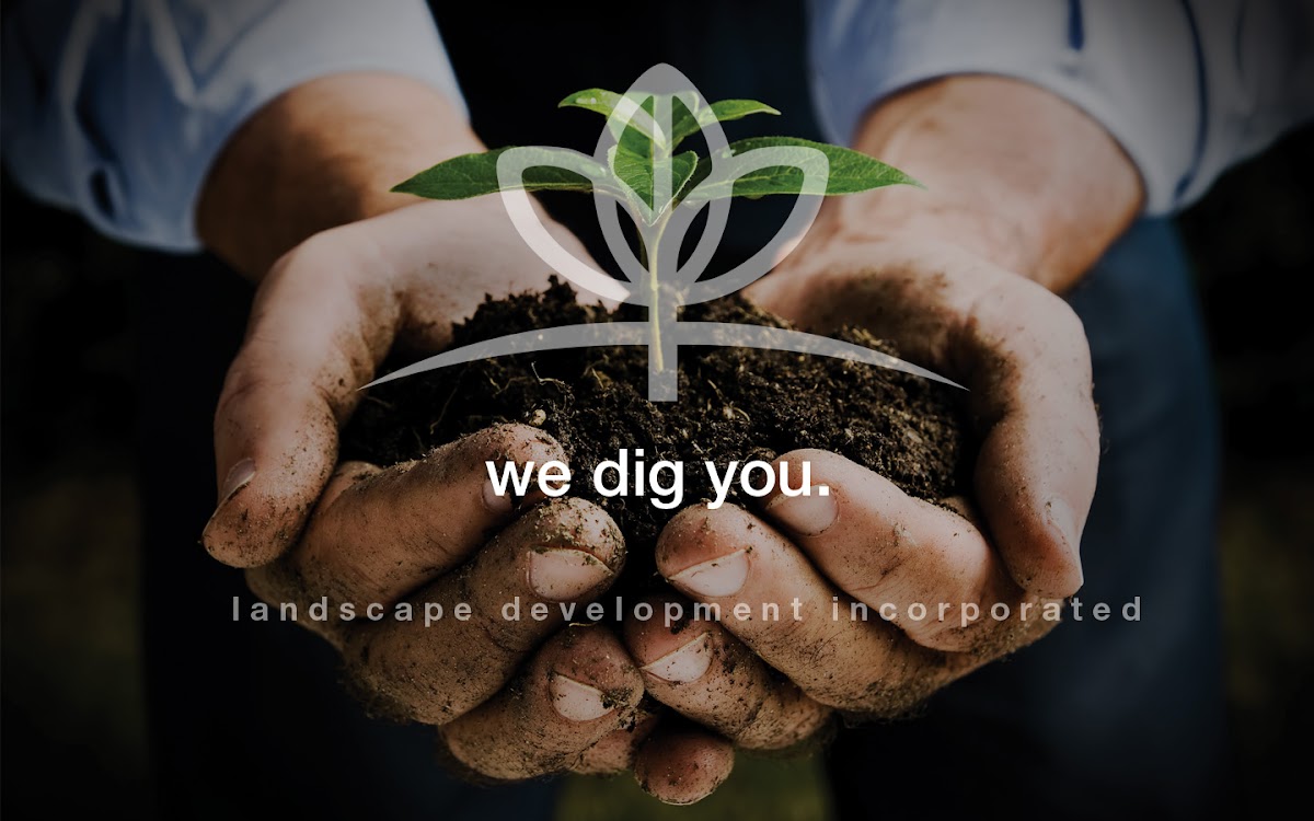 Landscape Development Inc