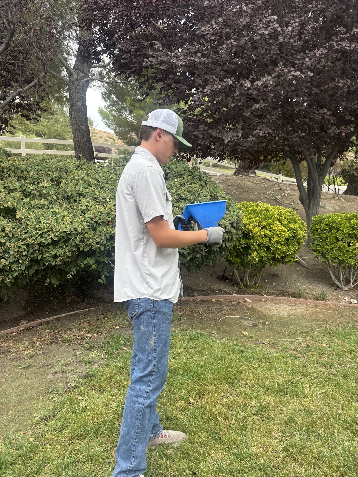 GuardUp Pest Control