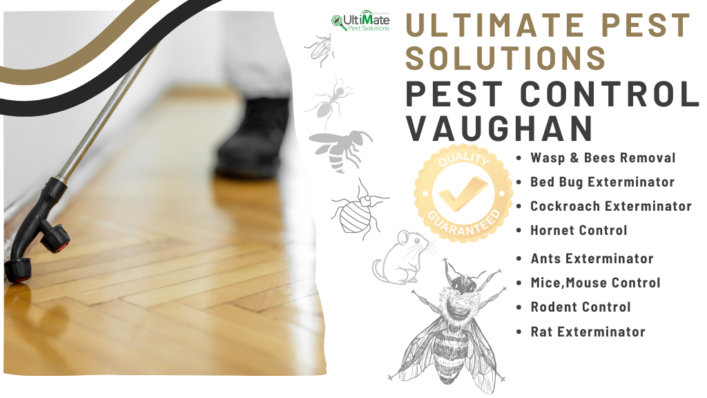 Ultimate Pest Solutions - Pest Control Vaughan