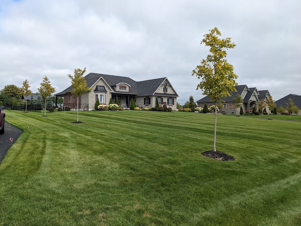 Genesis Landscaping